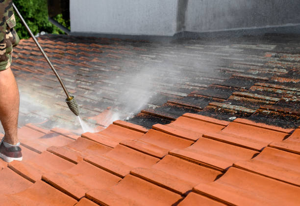 Best Best Pressure Washing Companies  in Forest City, FL