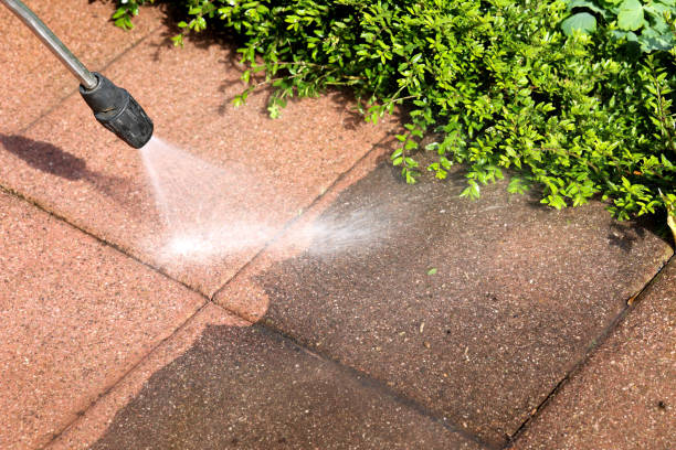 Best Pressure Washing Contractors  in Forest City, FL